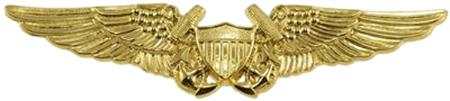 Naval flight officer